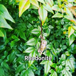 Rhodonite on brown rope